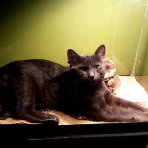 Meet your Posher, Heather